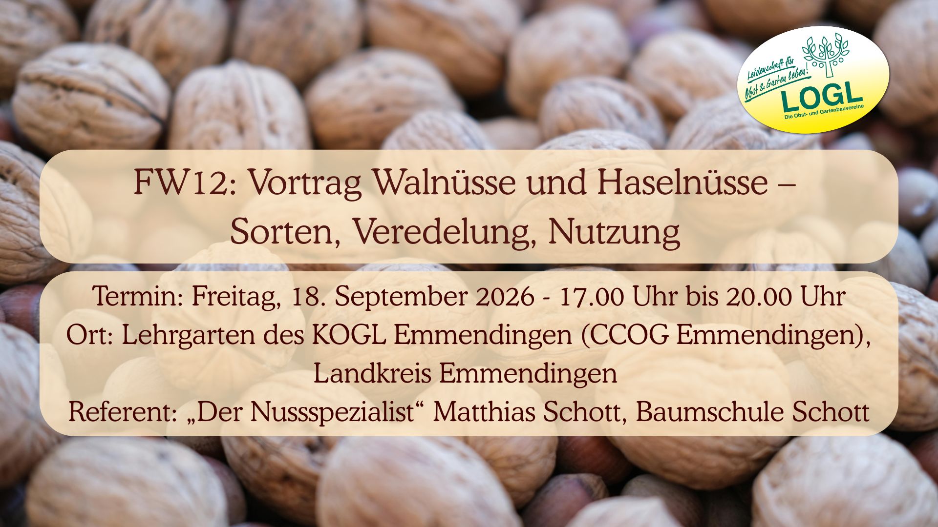 FW12 Nuss