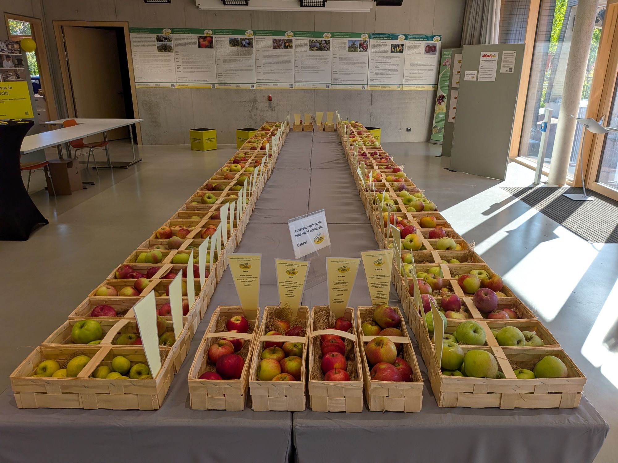 2026 Obstsortenausstellung Ellwangen LaGa efr 5