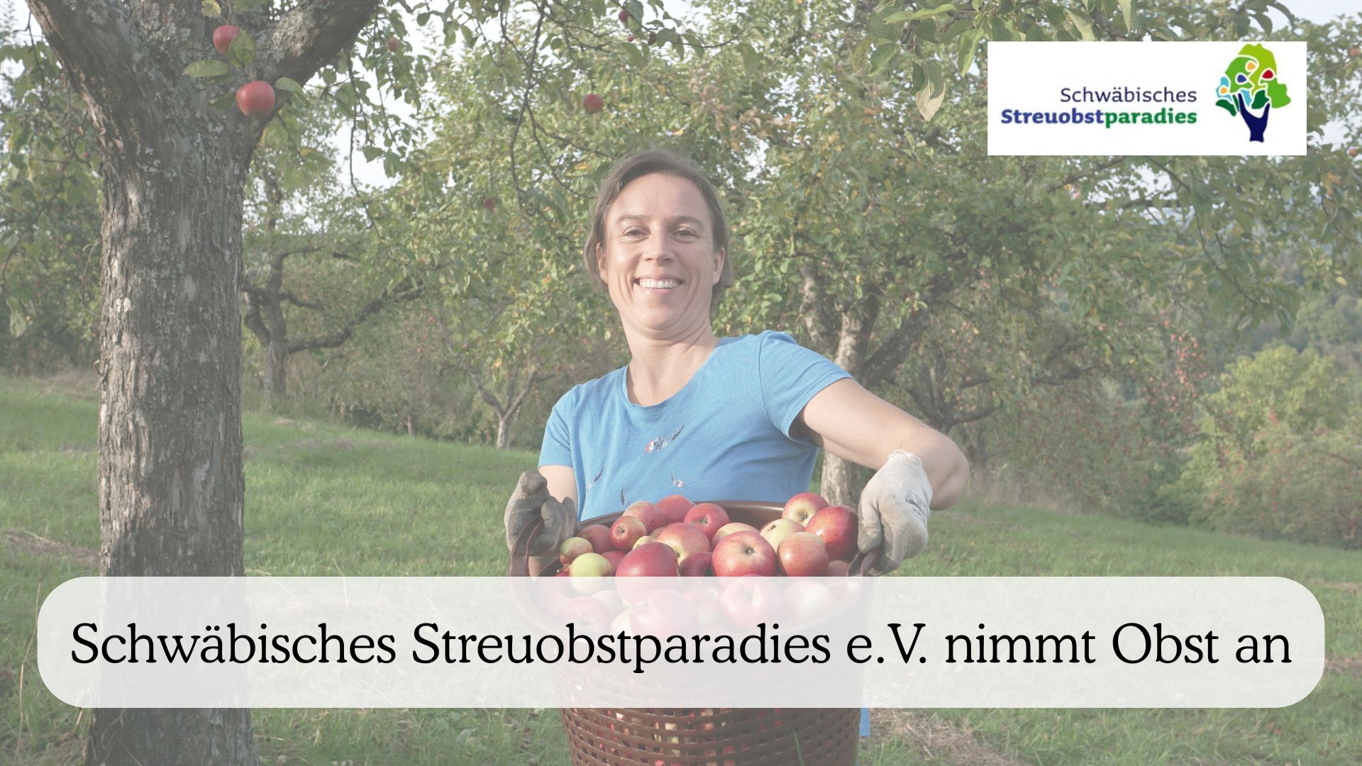 Schwabisches Streuobstparadies e.V. nimmt Obst an