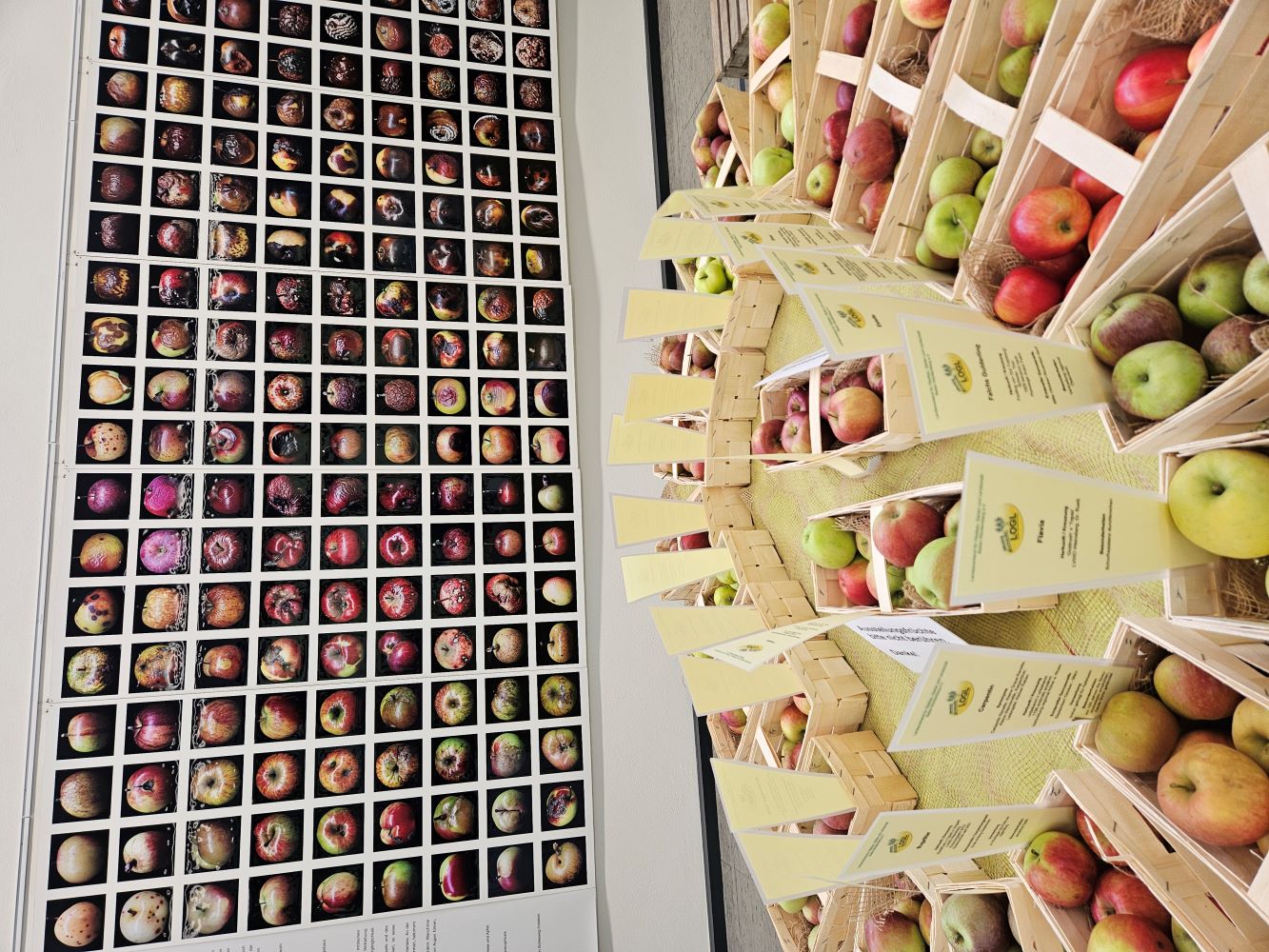 20250930 Vernissage GMI