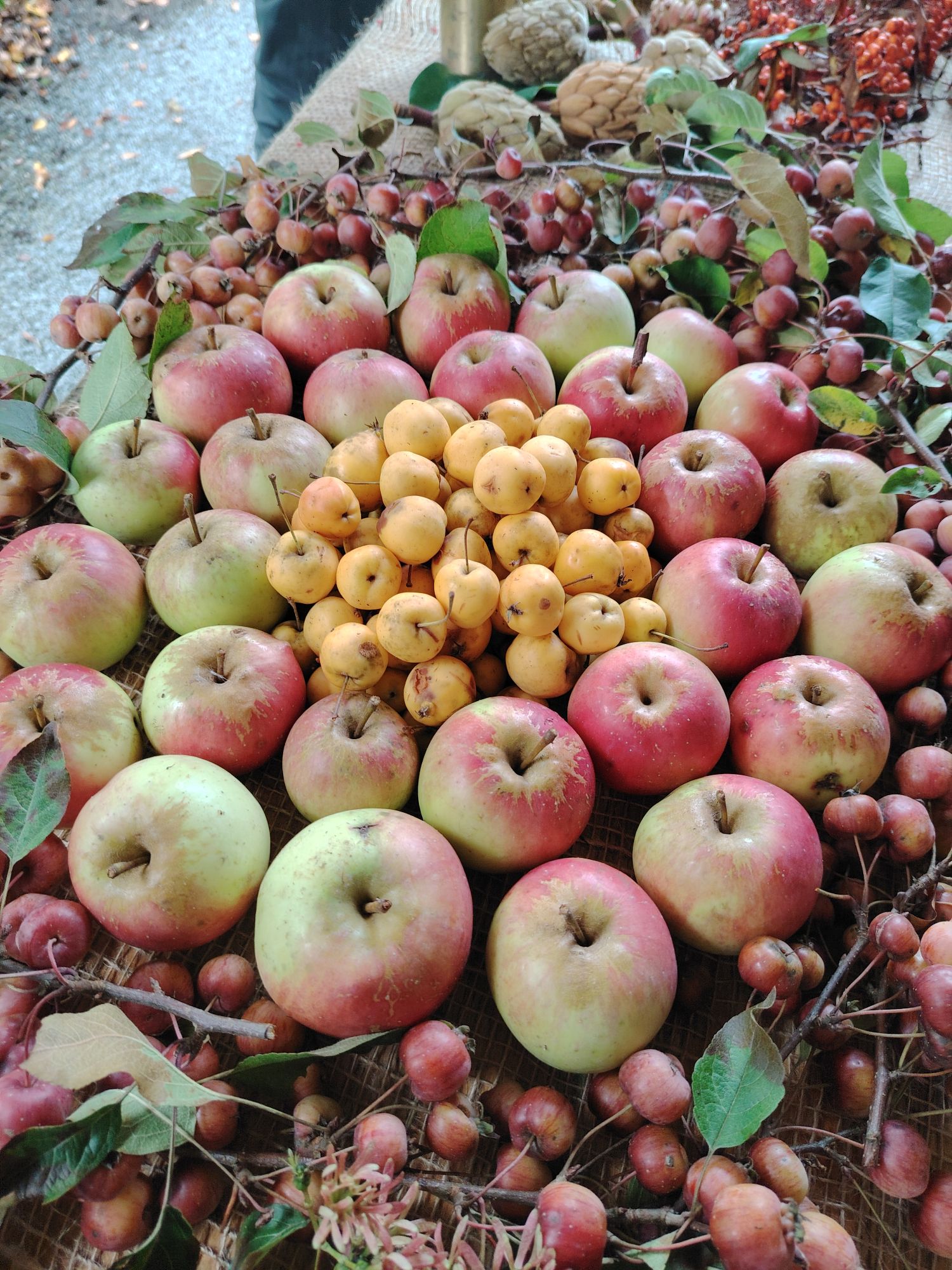 2025 10 11 uberregionales Fachwartetreffen Mauer efr 19