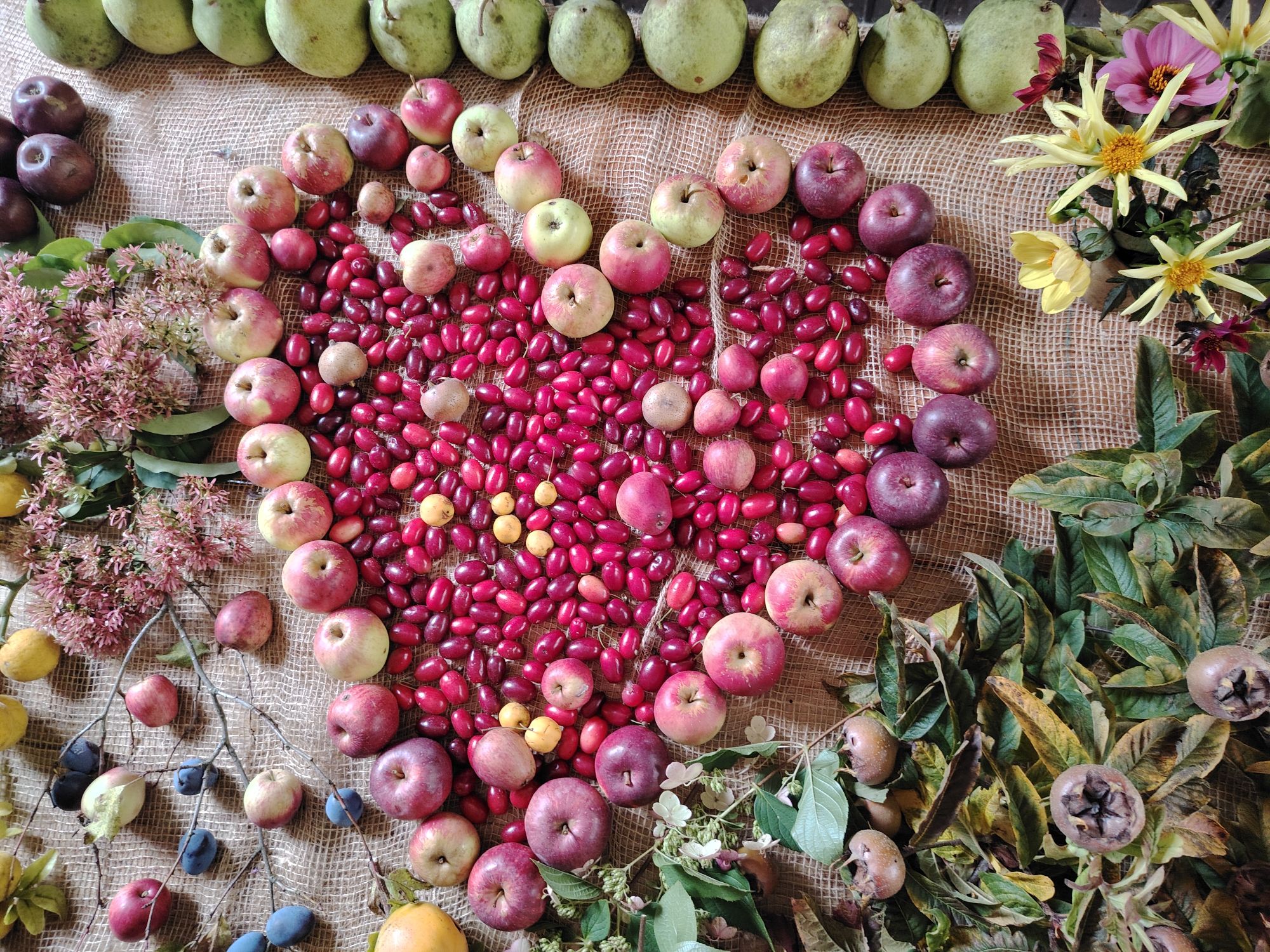 2025 10 11 uberregionales Fachwartetreffen Mauer efr 26