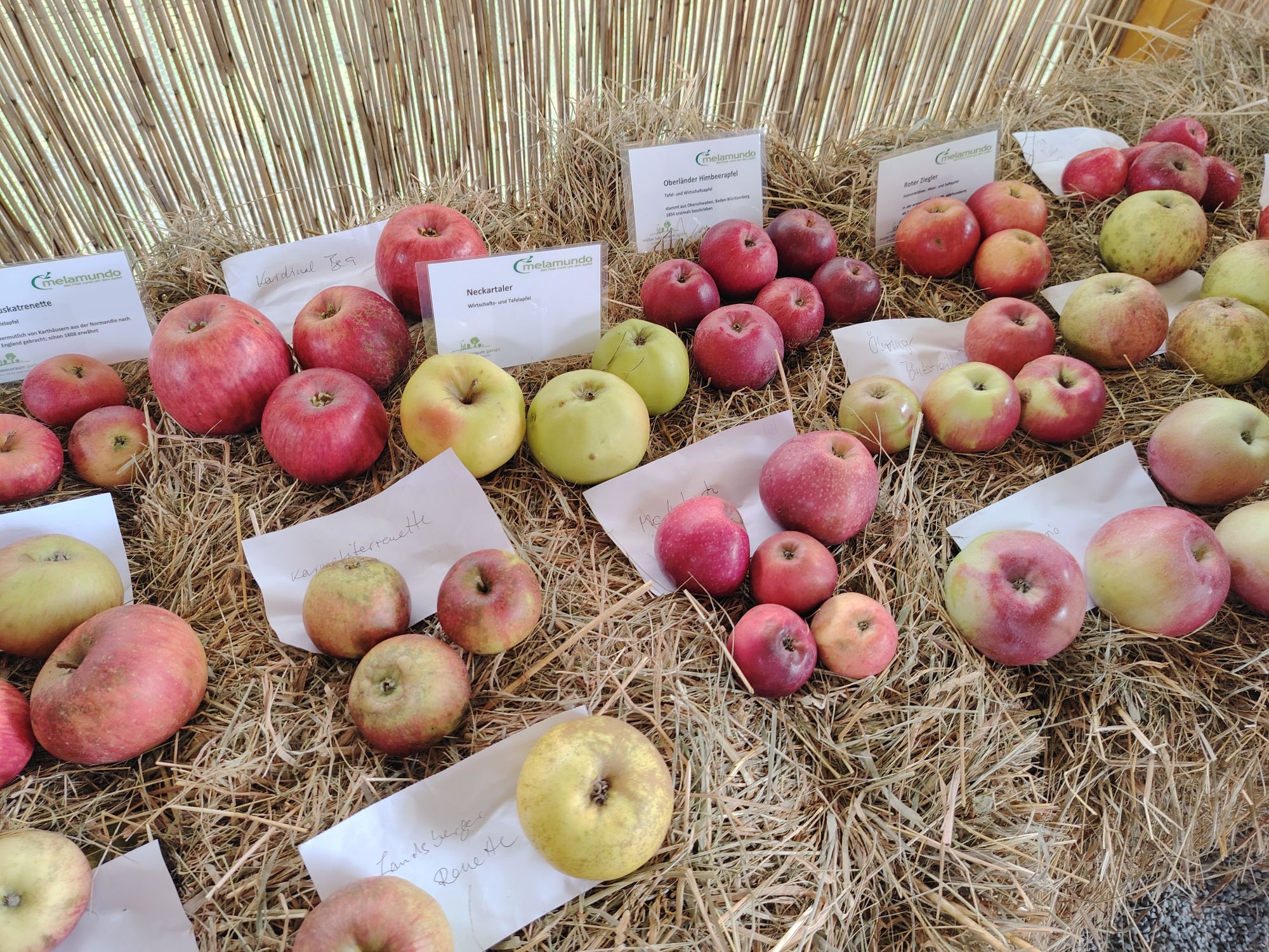 2025 10 11 uberregionales Fachwartetreffen Mauer efr 27