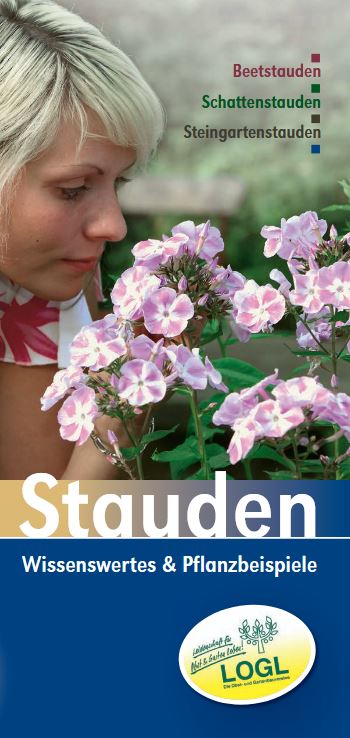 Stauden Cover