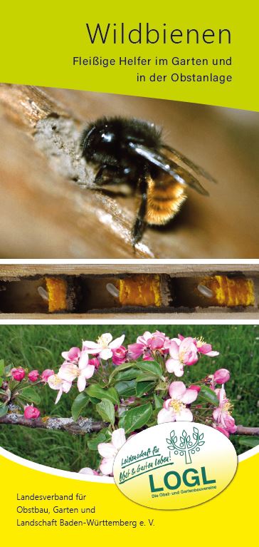 Wildbienenflyer Cover