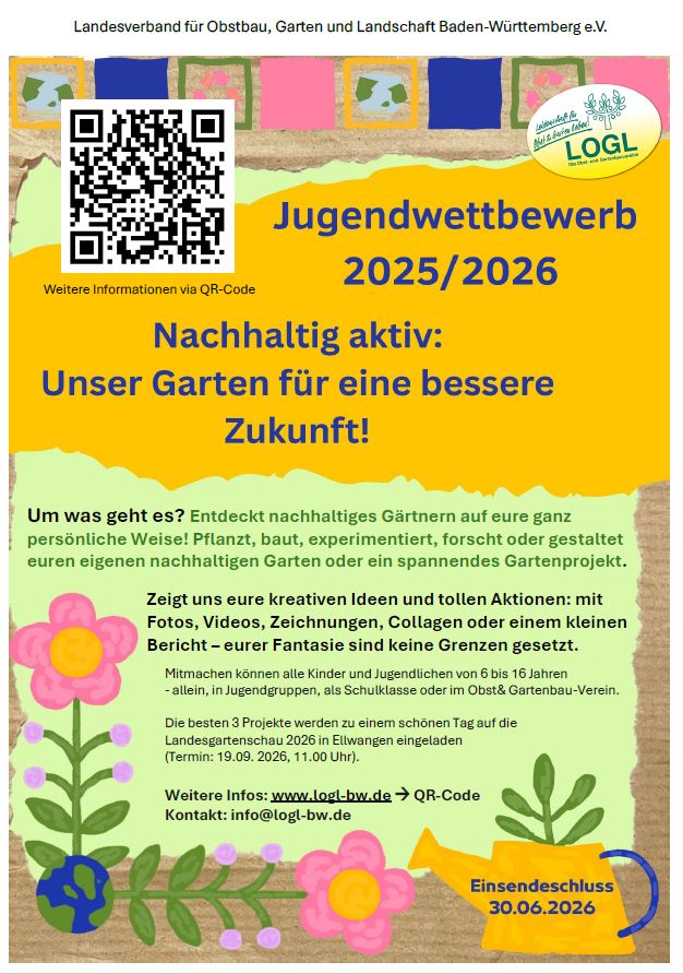 Flyer Jugendwettbewerb
