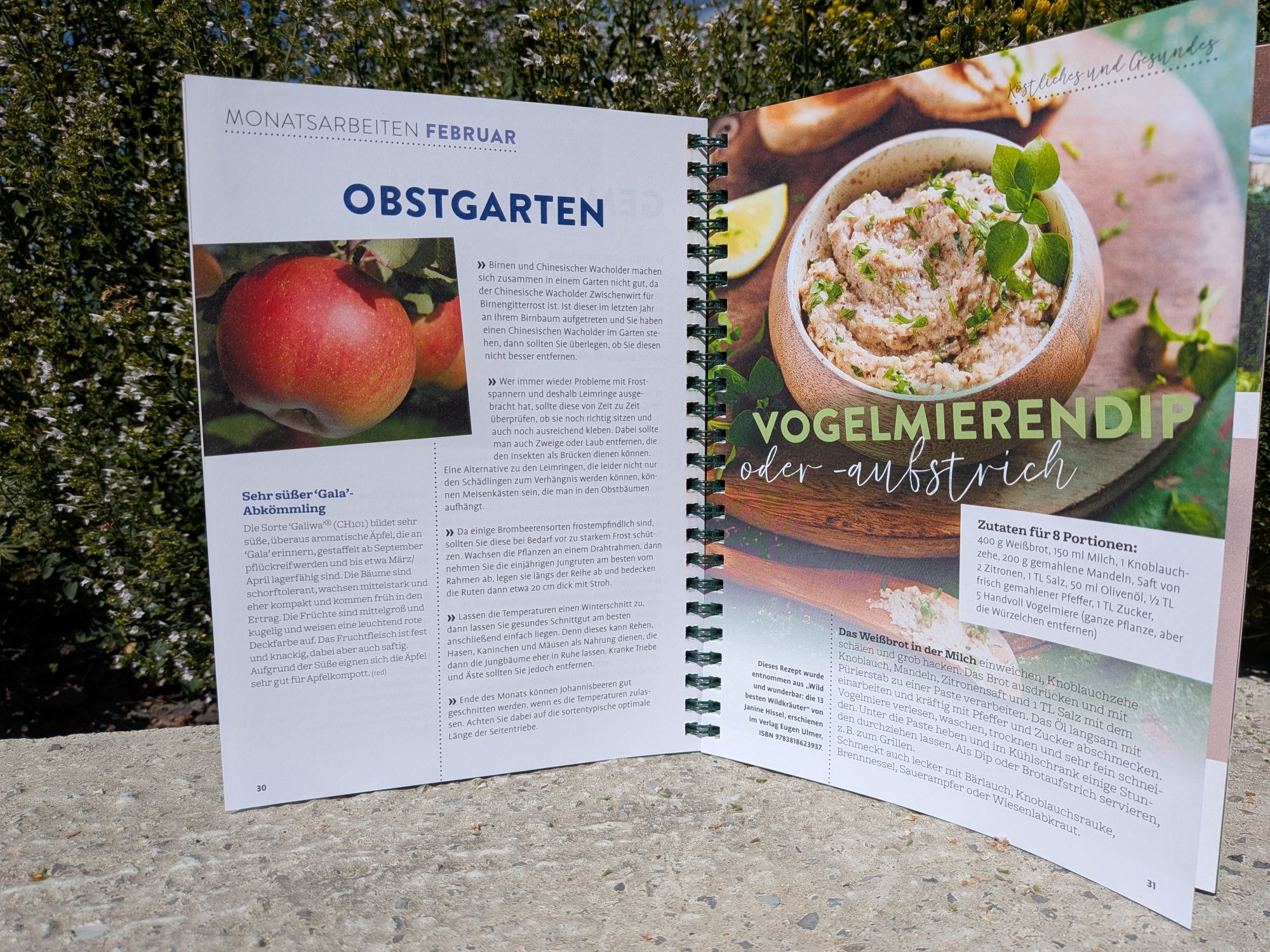 Kalender 2027 klein Februar
