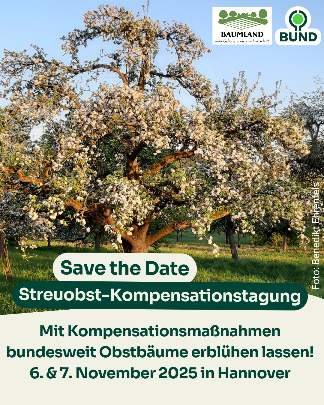 streuobst Kompensationstagung 2025