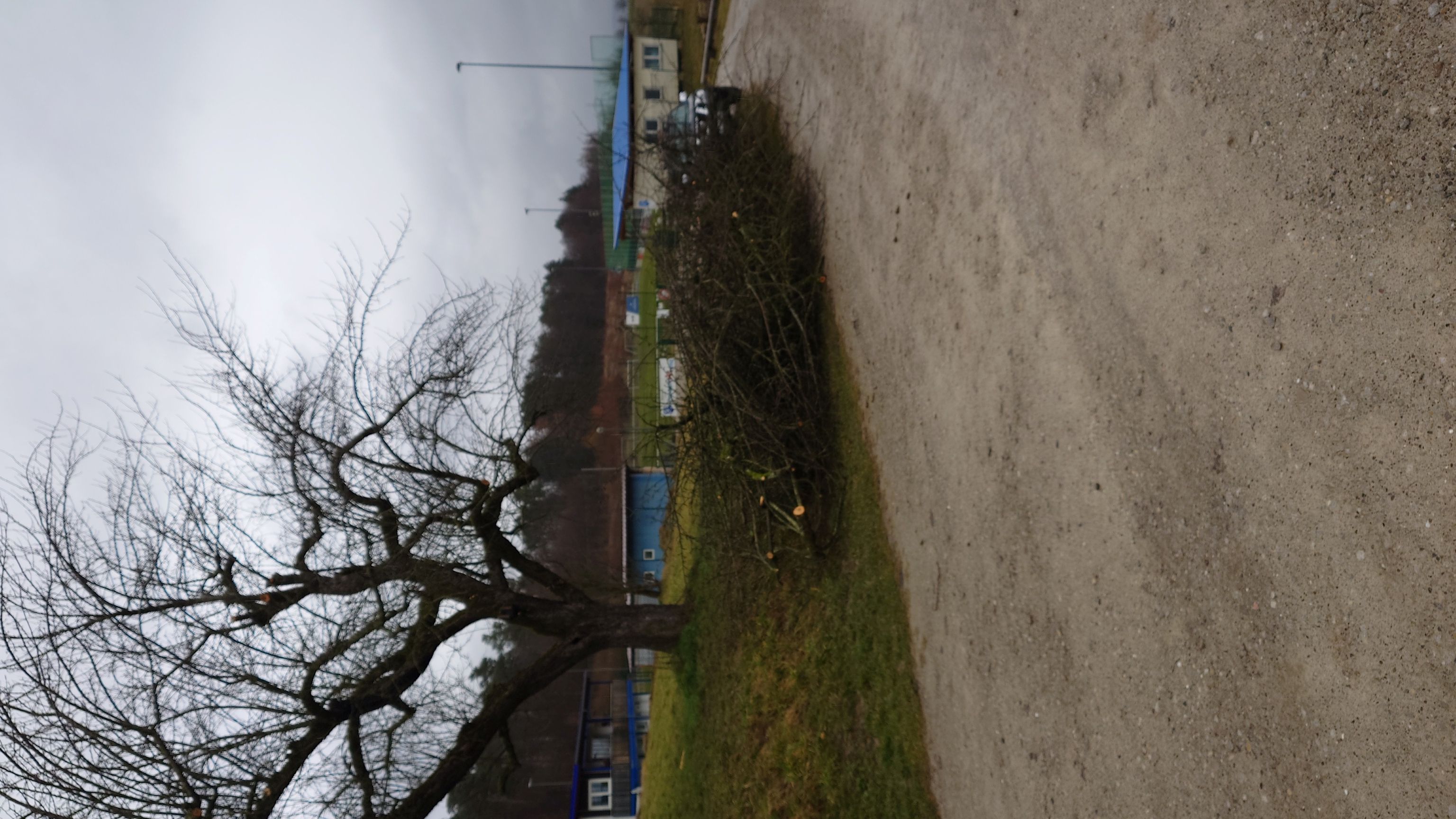 Nollingen 1