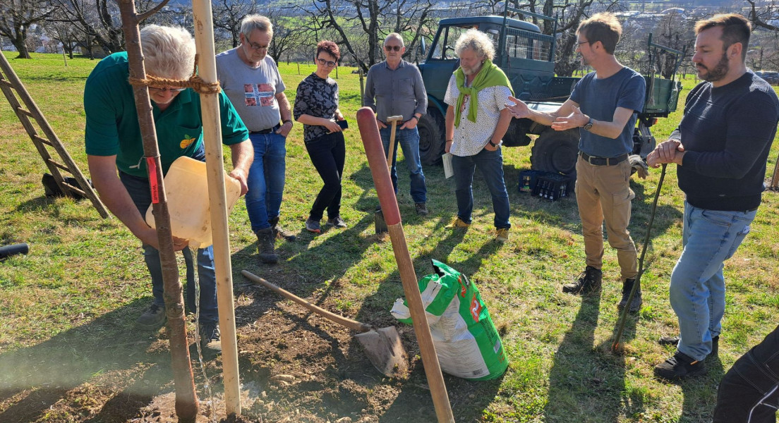 Landesweite Streuobstpflegetage 2026