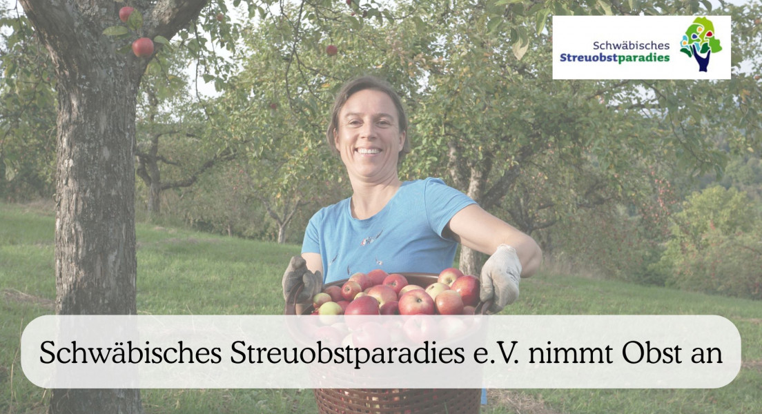 Schwäbisches Streuobstparadies e.V. nimmt Obst an