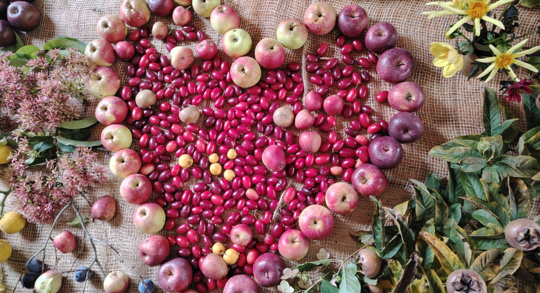 Rückblick: Überregionales Fachwartetreffen 2025