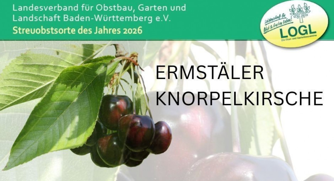 Streuobstsorte des Jahres 2026