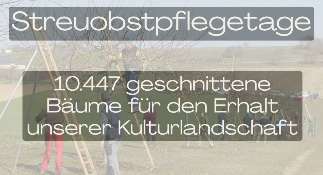 Landesweite Streuobst Pflegetage 2026