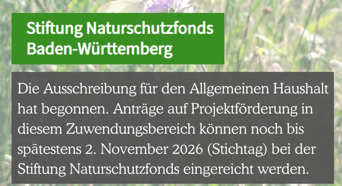 Projektförderung Stiftung Naturschutzfonds