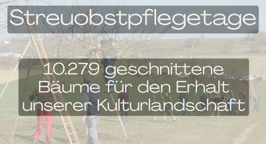 Landesweite Streuobst-pflegetage 2026