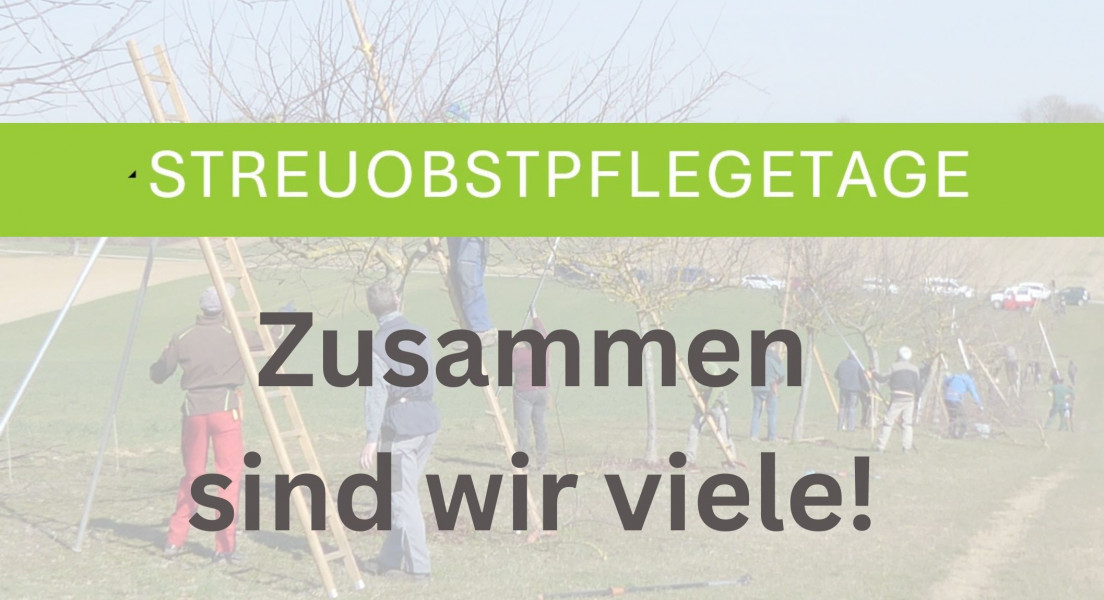 Landesweite Streuobstpflegetage 2026