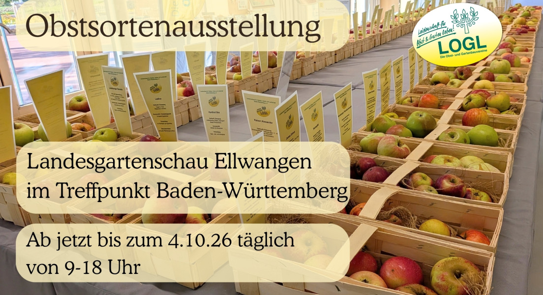 Landesgartenschau Ellwangen AB JETZT OBSTSORTENAUSSTELLUNG bis zum 4.10.26