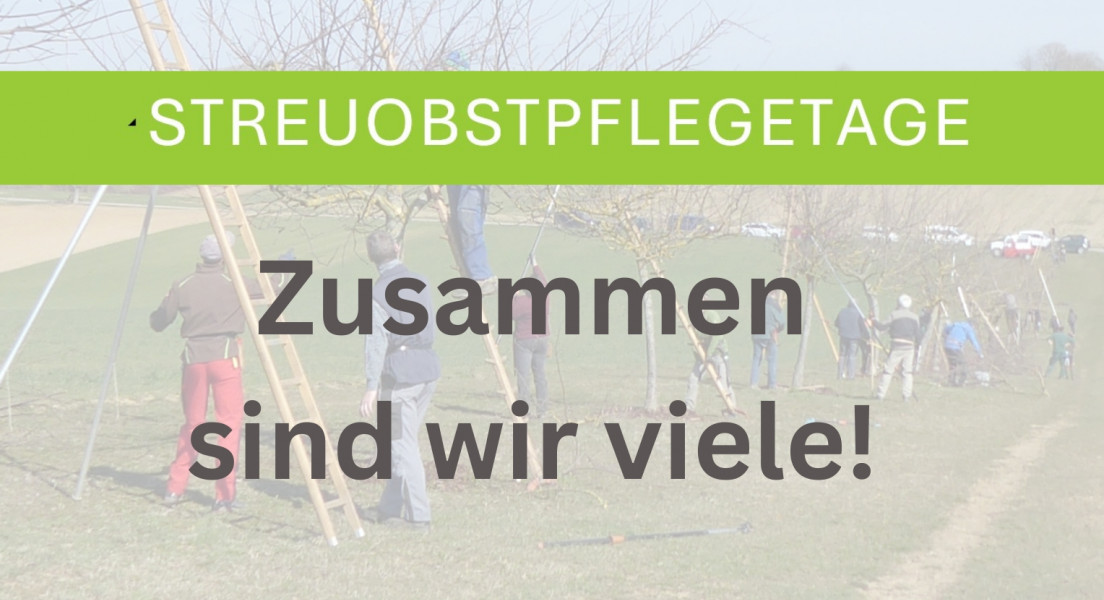 Landesweite Streuobstpflegetage 25/26